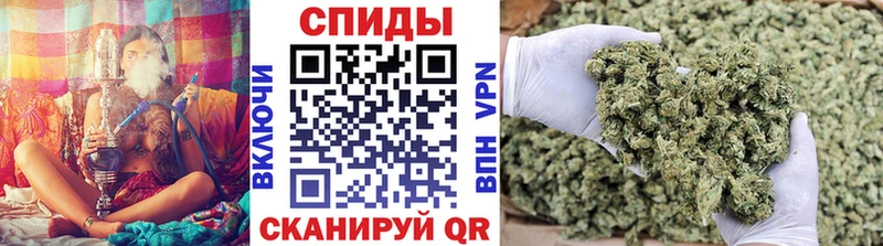 Купить закладки  Богучар  Бутират жидкий экстази 