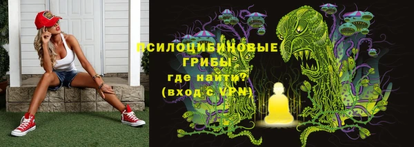 шишки Верхнеуральск