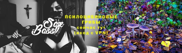 шишки Верхнеуральск