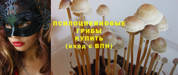 молекула духа Верея