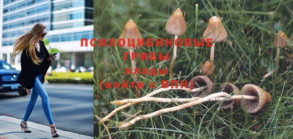 молекула духа Верея