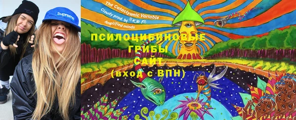 шишки Верхнеуральск